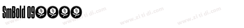SmBold 09字体转换